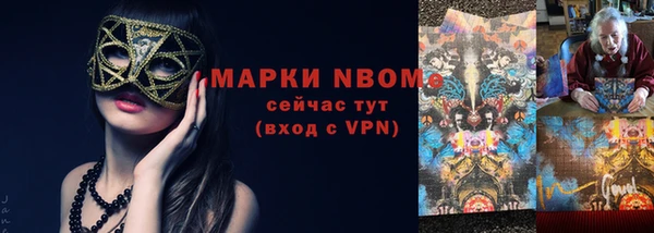индика Вяземский