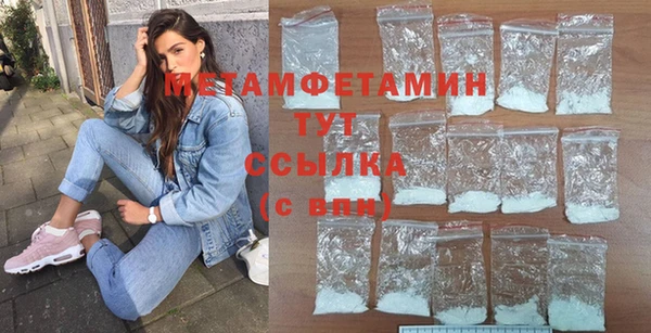 индика Вяземский