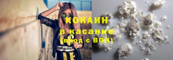 индика Вяземский