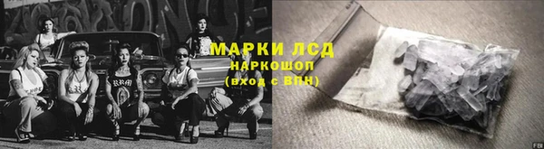индика Вяземский