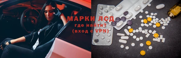 индика Вяземский