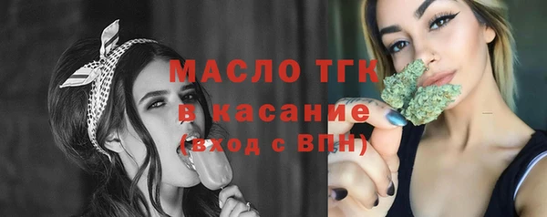 индика Вяземский