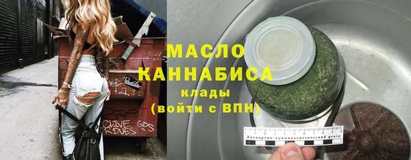 индика Вяземский