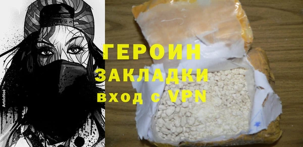 индика Вяземский