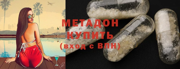 индика Вяземский