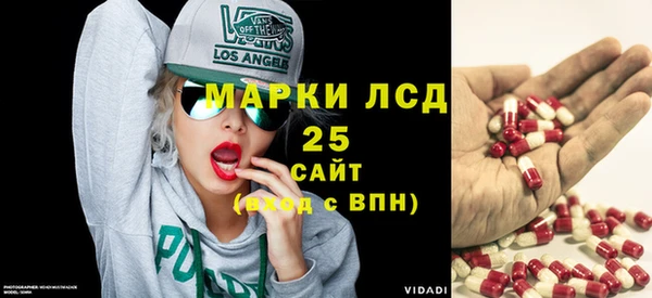 индика Вяземский