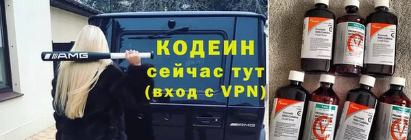 индика Вяземский