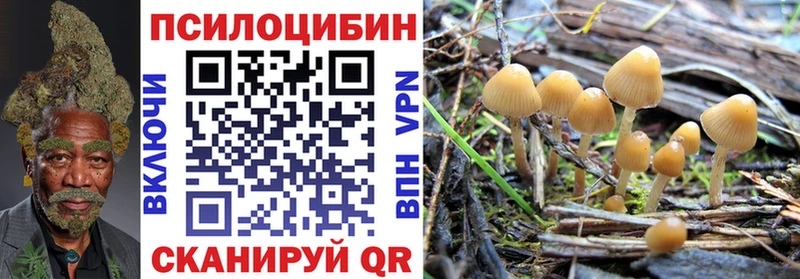 Галлюциногенные грибы ЛСД  blacksprut ссылки  Печоры  сколько стоит 